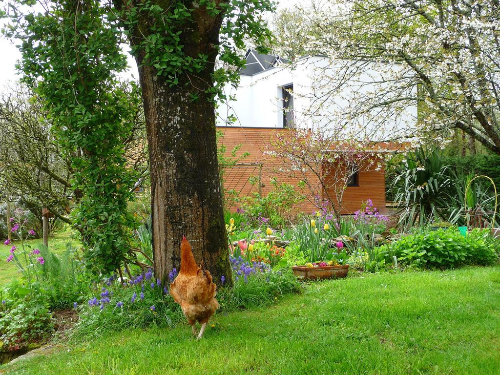 Bed and Breakfast Le Jardin Aux Oiseaux Férel Zimmer foto